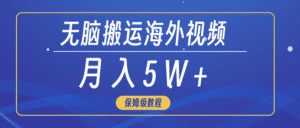 （9361期）无脑搬运海外短视频，3分钟上手0门槛，月入5W+-副业吧