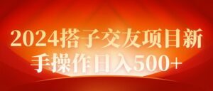 （9345期）2024同城交友项目新手操作日入500+-副业吧