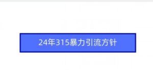 24年315暴力引流方针-副业吧