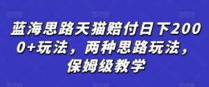蓝海思路天猫赔付日下2000+玩法，两种思路玩法，保姆级教学【仅揭秘】-副业吧