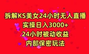 利用快手24小时无人美女直播，实操日入3000，24小时被动收益，内部保密玩法-副业吧