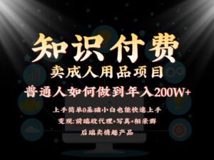 2024蓝海赛道，前端知识付费卖成人用品项目，后端产品管道收益如何实现年入200W+-副业吧