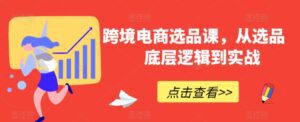 跨境电商选品课，从选品到底层逻辑到实战-副业吧
