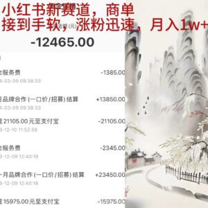 （9476期）小红书新赛道，商单接到手软，涨粉迅速，月入1w+-副业吧