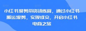 小红书混剪带货训练营，通过小红书搬运混剪，实现成交，开启小红书电商之旅-副业吧
