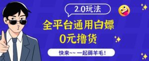 外面收费2980的全平台通用白嫖撸货项目2.0玩法【仅揭秘】-副业吧