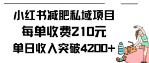 (9466期)小红书减肥私域项目每单收费210元单日成交20单,最高日入4200+-副业吧