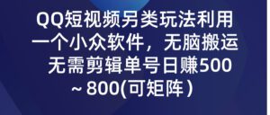 （9492期）QQ短视频另类玩法，利用一个小众软件，无脑搬运，无需剪辑单号日赚500～…-副业吧
