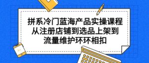 （9527期）拼系冷门蓝海产品实操课程，从注册店铺到选品上架到流量维护环环相扣-副业吧