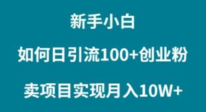 （9556期）新手小白如何通过卖项目实现月入10W+-副业吧