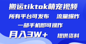 （9618期）搬运Tiktok萌宠类视频，一部手机即可。所有短视频平台均可操作，月入3W+-副业吧