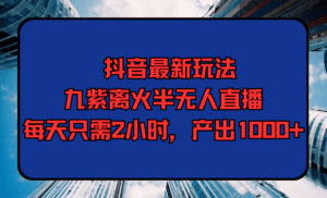 （9619期）抖音最新玩法，九紫离火半无人直播，每天只需2小时，产出1000+-副业吧