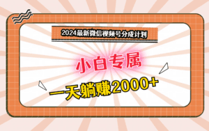 2024最新微信视频号分成计划,对新人友好,一天躺赚2000+-副业吧