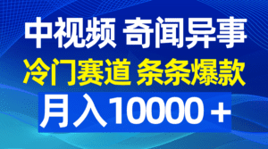 (9627期)中视频奇闻异事,冷门赛道条条爆款,月入10000+-副业吧