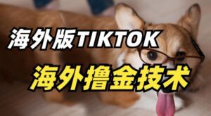抖音海外版tiktok撸金技术，这个风口行业，赚钱真的不难-副业吧