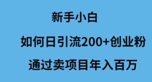 （9668期）新手小白如何日引流200+创业粉通过卖项目年入百万-副业吧