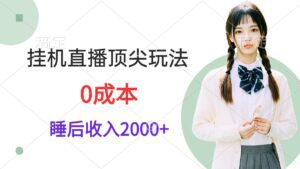 （9715期）挂机直播顶尖玩法，睡后日收入2000+、0成本，视频教学-副业吧