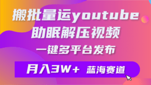 （9727期）批量搬运YouTube解压助眠视频 一键多平台发布 月入2W+-副业吧