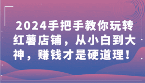 2024手把手教你玩转红薯店铺，从小白到大神，赚钱才是硬道理！-副业吧