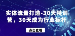 实体流量打造-30天特训营，30天成为行业标杆-副业吧