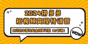 2024拼多多短视频变现特训营，知识的丰厚比起金钱更可靠（11节课）-副业吧