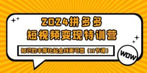 (9817期)2024拼多多短视频变现特训营,知识的丰厚比起金钱更可靠(11节课)-副业吧