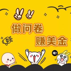 国外问卷调查小白家也可批量操作(口子查站点查渠道查)真正的长久稳定项目 日入1500+-副业吧