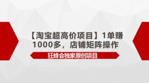 （9849期）【淘宝超高价项目】1单赚1000多，店铺矩阵操作-副业吧