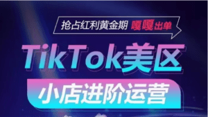 TikTok Shop美区小店进阶运营，快速掌握各流量渠道玩法，抢占红利黄金期，嘎嘎出单-副业吧