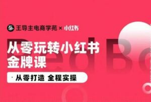 王导主·小红书电商运营实操课，​从零打造  全程实操-副业吧