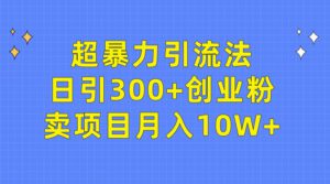 （9954期）超暴力引流法，日引300+创业粉，卖项目月入10W+-副业吧
