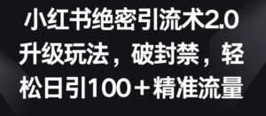 小红书绝密引流术2.0升级玩法，破封禁，轻松日引100+精准流量-副业吧