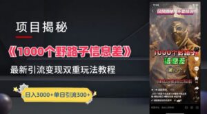 一千个野路子信息差最新玩法教程-变现+引流的玩法具体拆解-副业吧