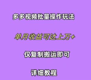 （10029期）拼多多视频带货快速过爆款选品教程 每天轻轻松松赚取三位数佣金 小白必…-副业吧