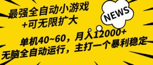 （10046期）2024最新全网独家小游戏全自动，单机40~60,稳定躺赚，小白都能月入过万-副业吧