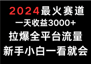 2024最火赛道,一天收一3000+.拉爆全平台流量,新手小白一看就会-副业吧