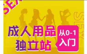 成人用品独立站从0-1入门，成品独立站运营全流程教学，七大好卖成品独立站推荐-副业吧