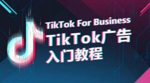 TikTok广告入门教程，从0到1掌握TikTok投放的全流程-副业吧