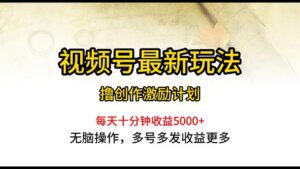 （10087期）视频号最新玩法，每日一小时月入5000+-副业吧
