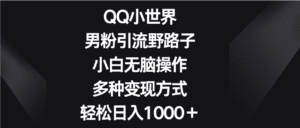 QQ小世界男粉引流野路子，小白无脑操作，多种变现方式轻松日入1000＋-副业吧