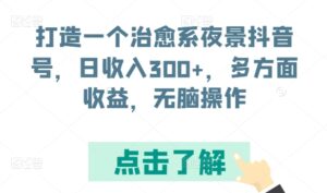 打造一个治愈系夜景抖音号，日收入300+，多方面收益，无脑操作-副业吧
