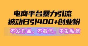 （10168期）电商平台暴力引流,被动日引400+创业粉不发作品，不截流，不发私信-副业吧