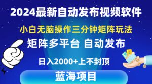 （10166期）2024最新视频矩阵玩法，小白无脑操作，轻松操作，3分钟一个视频，日入2k+-副业吧