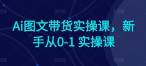 Ai图文带货实操课，新手从0-1 实操课-副业吧