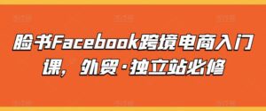 脸书Facebook跨境电商入门课，外贸·独立站必修-副业吧