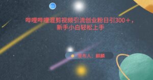 哔哩哔哩混剪视频引流创业粉日引300+，新手小白轻松上手-副业吧