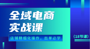 全域电商实战课，个人店铺精细化操作流程，出单必学内容（18节课）-副业吧