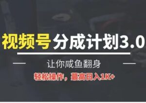 24年视频号冷门蓝海赛道，操作简单，单号收益可达四位数-副业吧