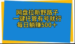 （10468期）网盘拉新野路子，一键托管有号就行，全自动代发视频，每日躺赚500＋-副业吧