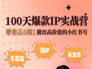 小红书100天爆款IP实战营，带你从0到1做出高价值的小红书号-副业吧